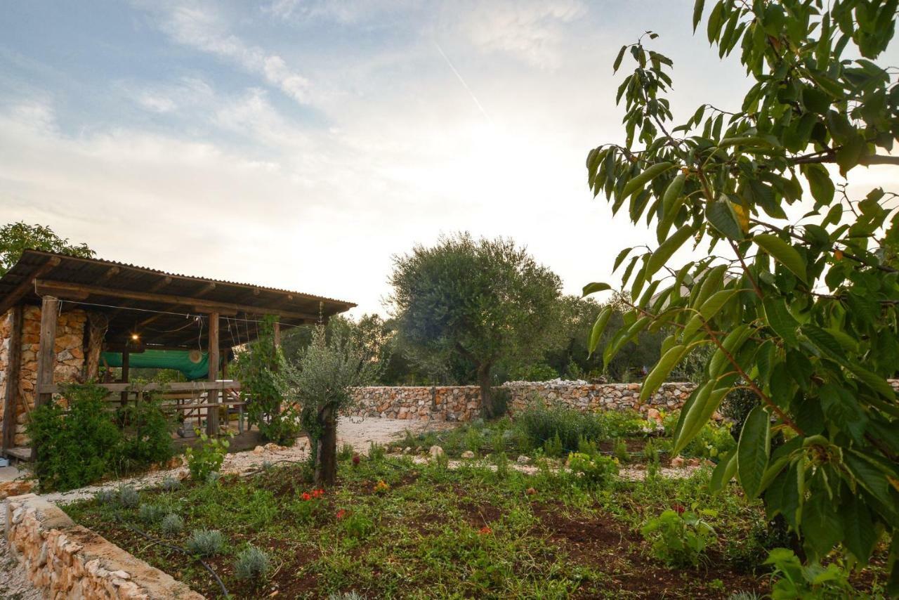 Luxury Apartments Boduja Sukošan المظهر الخارجي الصورة